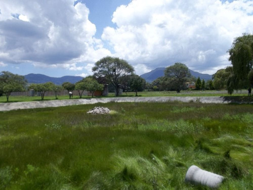 Terreno En Venta En Toluca Xonacatlan San Antonio