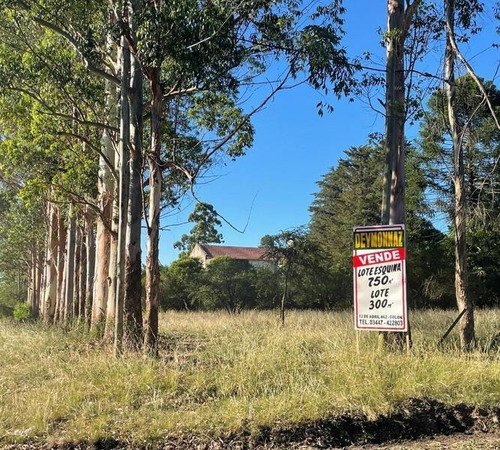 Imagen 6 de 17 de Terreno De 750 M2 Zona Termas Colón
