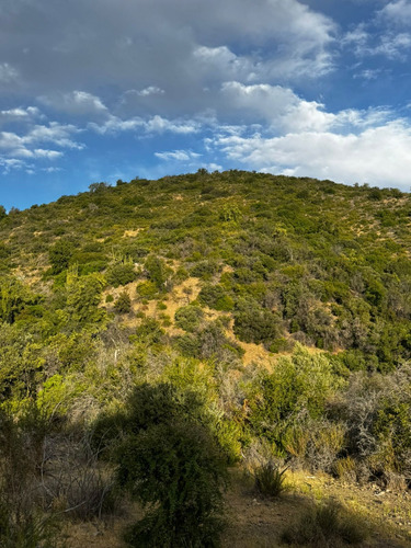 Parcela De 2,8 Hectareas En Caleu, Los Talhuenes. Til Til