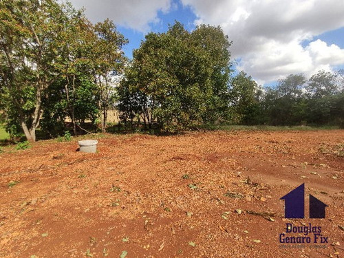Imagem 7 de 16 de Rural Chacara - 775286-v