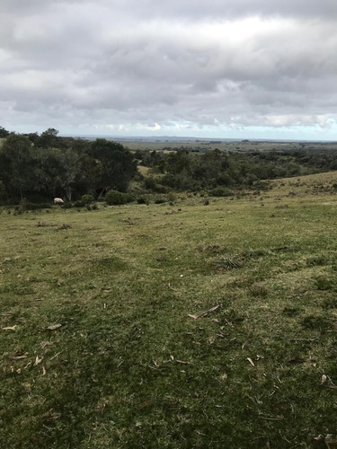 Imagen 4 de 9 de Buen Campo