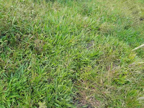 Finca En Guacamayas, Santander, Al Día En Documentos.