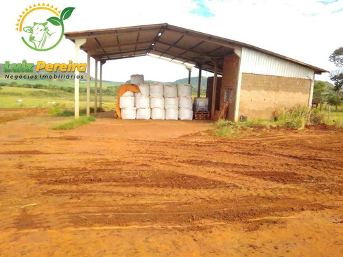 Imagem 8 de 9 de Fazenda À Venda Em Antonio João - Ms - De 818 Hectares (dupla Aptidão) - 1749