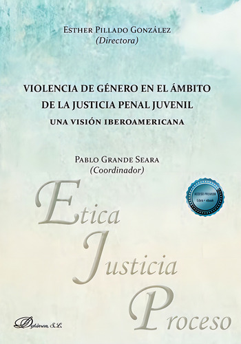 Violencia De Genero En El Ambito De La Justicia Penal Juveni: Una Visión Iberoamericana, De Aa.vv.. Editorial Editorial Dykinson, S.l., Tapa Blanda En Español, 2024