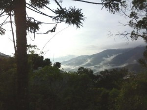 Chácara No Sul De Minas , Cidade De Aiuruoca Com 5.000 M2 , Muito Bom De Água , Área Para Criar Trutas. - 208
