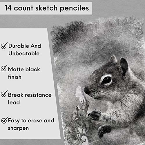 Lapices De Dibujo 14 Piezas De Grafito Para Sombrear Sketch