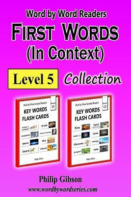 Libro First Words In Context : Level 5: Learn The Importa...