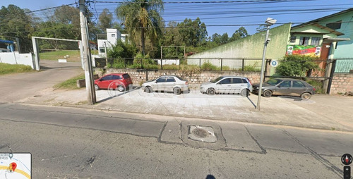 Imagem 5 de 10 de Terreno, 3846 M², Agronomia - 206335