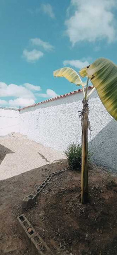 Imagen 11 de 17 de Se Vende Casa Urb Los Samanes