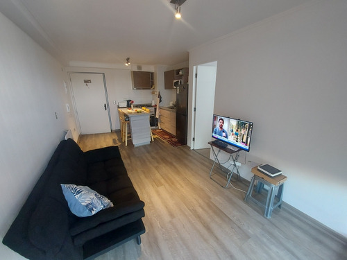 Departamento 1 Dormitorio Amoblado, Concepción