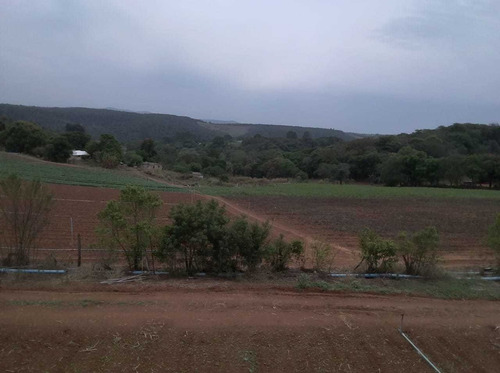 Imagem 4 de 14 de N31- Atibaia Terrenos Plano