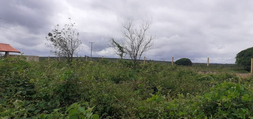 Imagem 6 de 8 de Terreno Em Euclides Da Cunha Fazenda Real 3.025mts Ac/ Prop