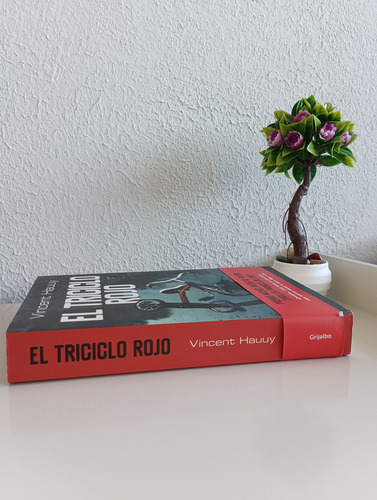 El Triciclo Rojo - Vincent Hauuy (Usado)