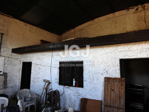Imagen 9 de 11 de 4 Has Con Casa - Bavio, Magdalena, Pcia Buenos Aires