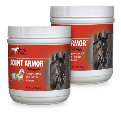 Regenerador Articular Joint Armor