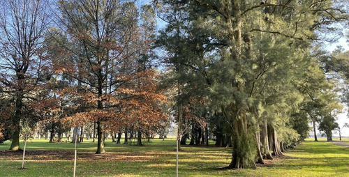 Imagen 18 de 30 de Venta Terreno Barrio Estribo Club De Campo Los Tres Pinos General Rodriguez