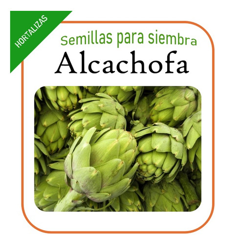 Semillas De Alcachofa (20 Sem)