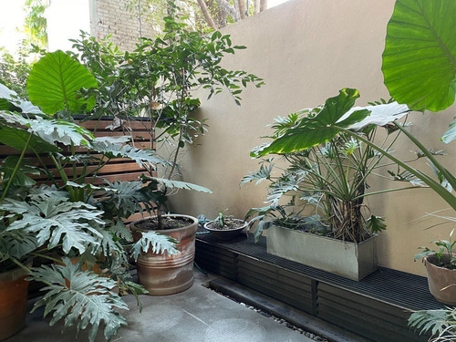Increíble Garden House En Renta En Polanco