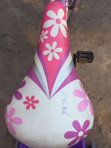 Bicicleta Dolphin Lady Rodado 16 C/cesto