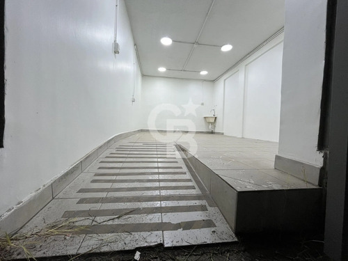 Local Comercial, Iluminación, Ubicación Y Conectividad