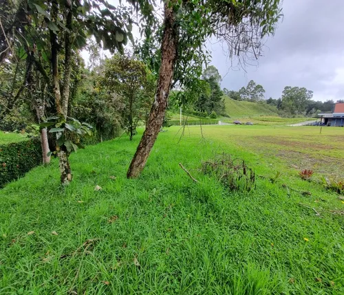 Lote En Venta En Alto De Las Palmas Vereda La Esperanza