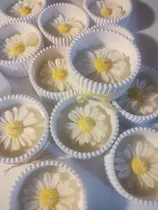 Comprar Velas De Soja Margaritas En Recipiente Rallado X 25 Blanco Margaritas Jazmín