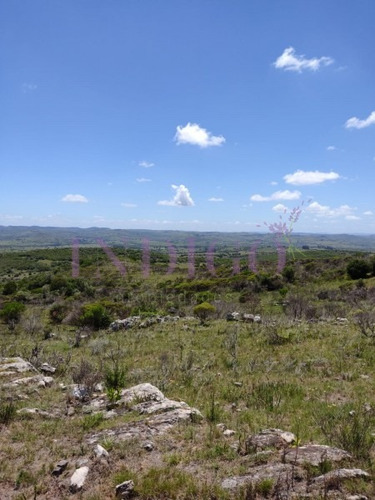 Campo En Pueblo Edén- Ref: 637