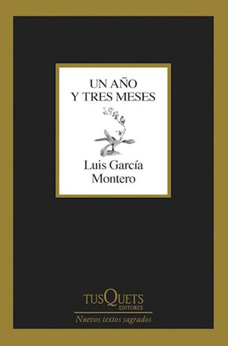 Un Año Y Tres Meses - Luis Garcia Montero -cus