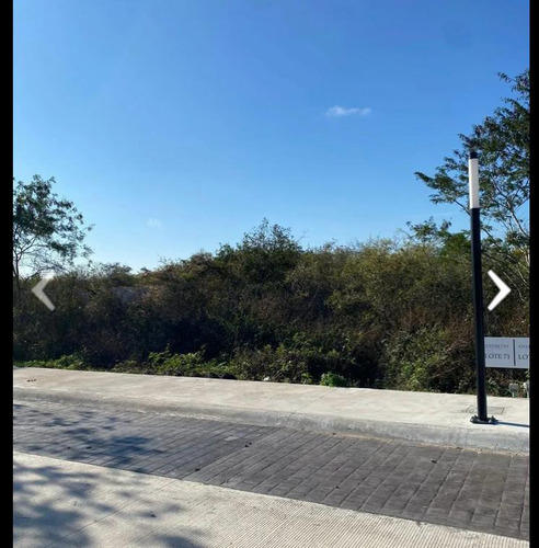Terreno Venta Merida Entretat
