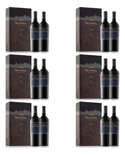 Trumpeter Malbec X2 Botellas Estuche X6 Unidades -  Celler