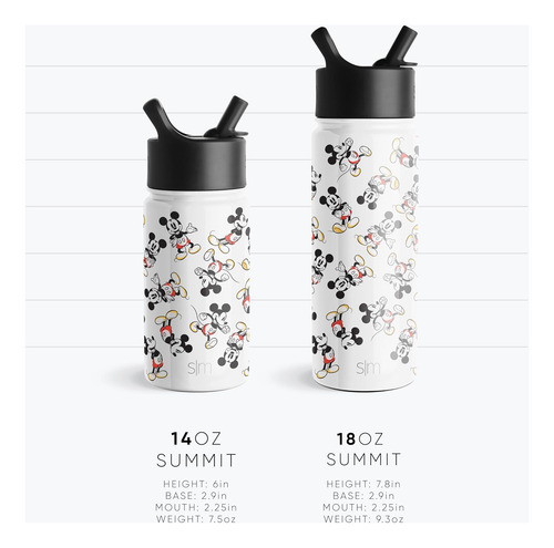 Botella De Agua Para Niños Simple Modern Disney Wish Con Tap