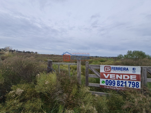 Vende Chacra De 5,6 Hectáreas - 50 Km. De Montevideo