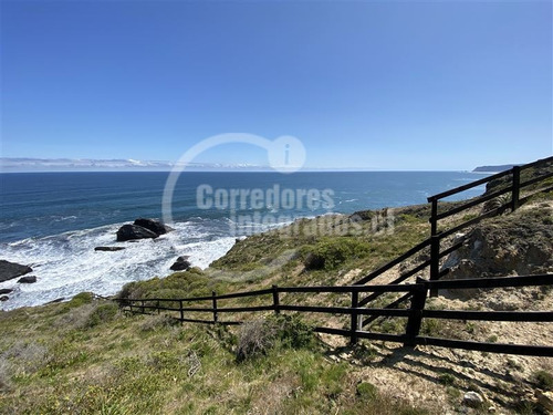 Imagen 12 de 14 de Sitio En Venta En Pichilemu