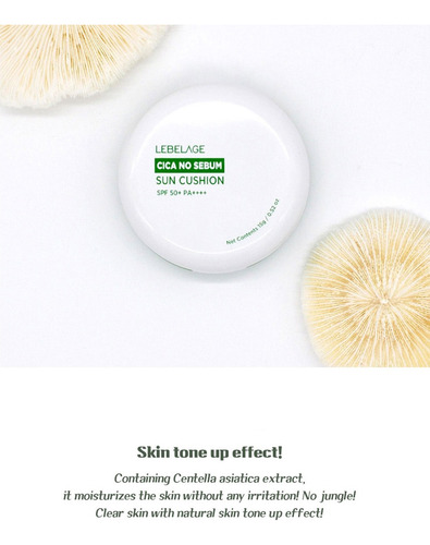 Maquillaje Sun Cushion Coreano De Cica / Control De Sebo_1pz