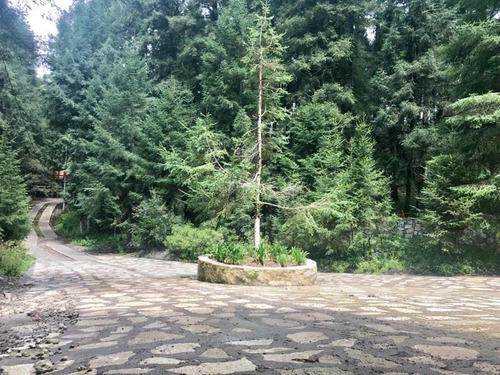 Imagen 7 de 12 de Terreno En Venta Mineral Del Monte Centro