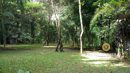 Imagem 14 de 15 de Chácara À Venda Em Terra Preta Com 3.140 M² - Ch157