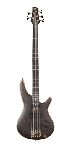 Ibanez 5005 2024