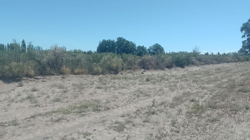 Imagen 11 de 28 de Vendo/permuto Finca Apto Todo Destino (viña, Cultivos Grales Y Ademas Cannabis Medicinal) O Loteo Club De Campo -alto Del Algarrobal-san Rafael -mendoza Sobre Rn 146 Km 376.1