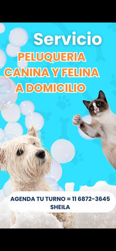 Peluqueria Canina Y Felina A Domicilio