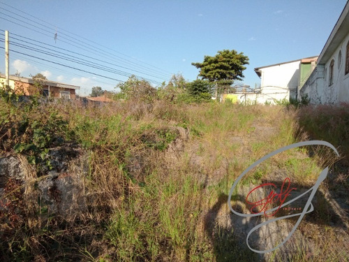 Imagem 7 de 9 de Terreno No Bairro Presidente Altino De 400m², Excelente Localização Próximo A Mercado, Padaria, Farmácia Sacolão Hospital Acesso Fácil As Marginais - Te00035 - 69881096