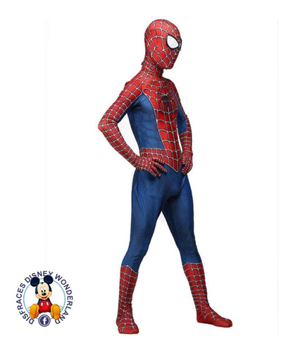 Disfraz Niño Spiderman Remy Tony Lycra 100-150 Cms | Envío gratis
