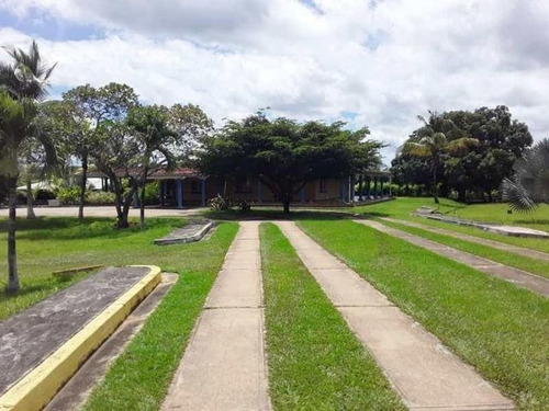 Imagen 11 de 18 de Finca En Venta Sabana De Medio Barrera Carabobo G