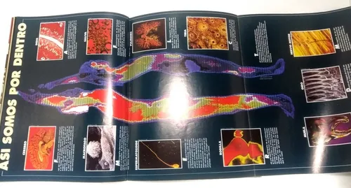 Revista Muy Interesante N 7 Mayo 1986 Edición Argentina