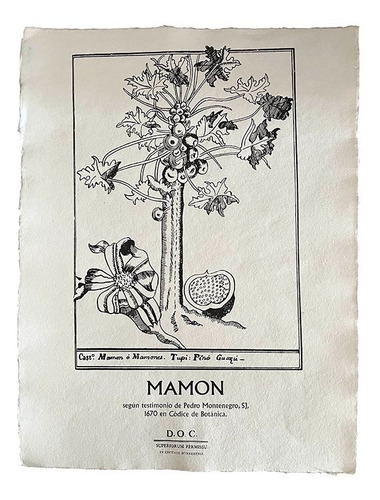 Serigrafia Ilustración Antigua Botánica Mamon