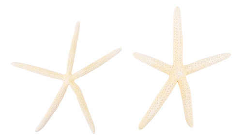 Manualidades Naturales Con Diseño De Estrellas De Mar Con Ci