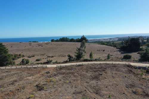 Mar Y Bosque Sobre Punta De Lobos