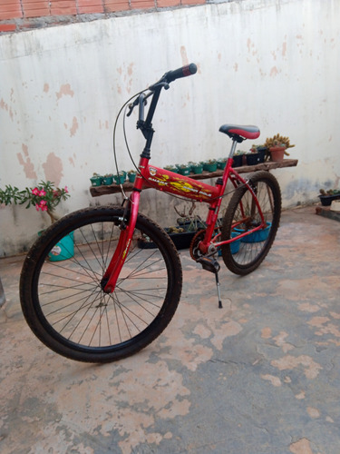 Bicicleta Maria Mole 