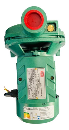 Bomba B-10 Thebe 1/2cv Rotor Em Bronze Agua Quente 127/220v