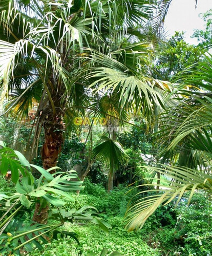 Chácara Para Venda Em Cajamar, Ponunduva, 4 Dormitórios, 3 Banheiros, 4 Vagas - 20882_1-1745244