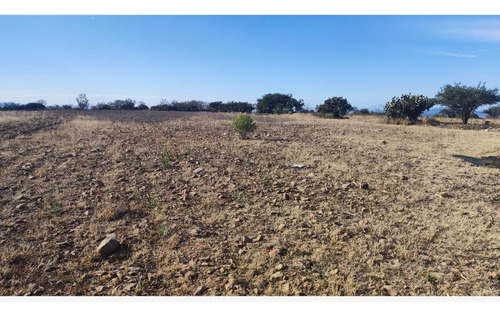 Terreno En Venta En Palmillas, San Juan Del Río, Querétaro